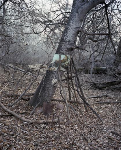 according to crusoe Photo 1 - Ramírez-Suassi